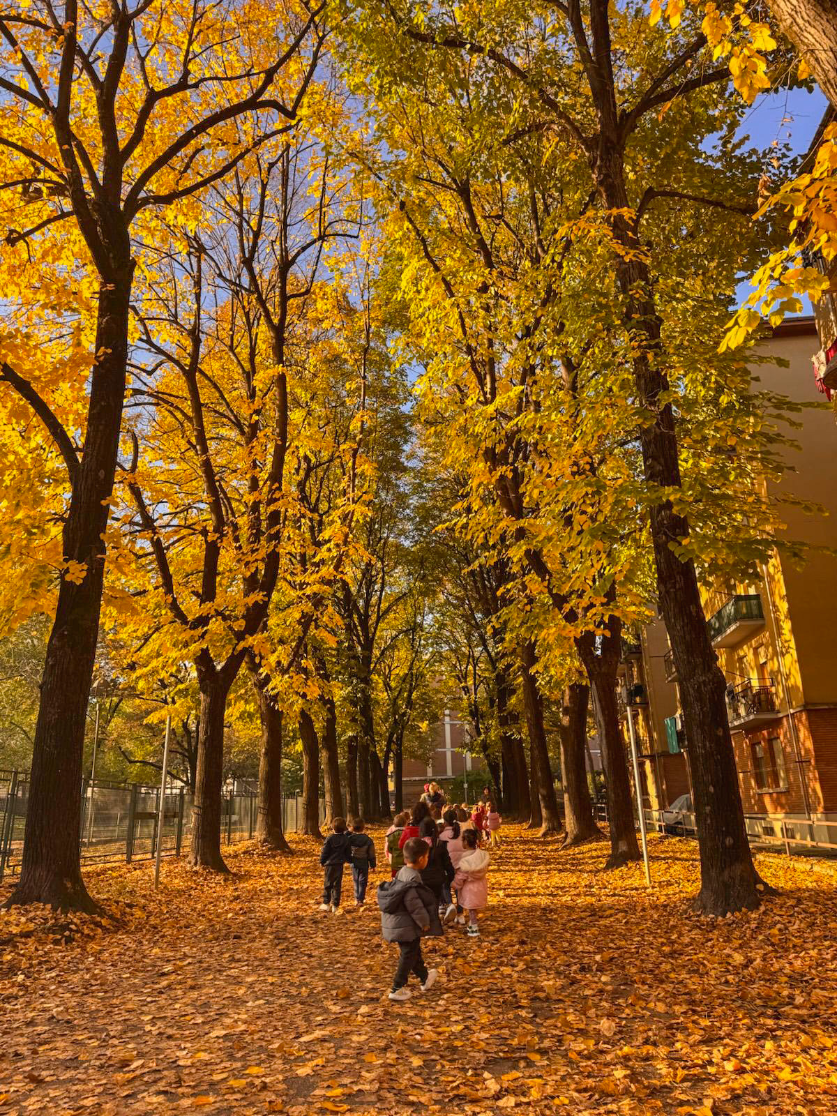 PASSEGGIATA AUTUNNALE