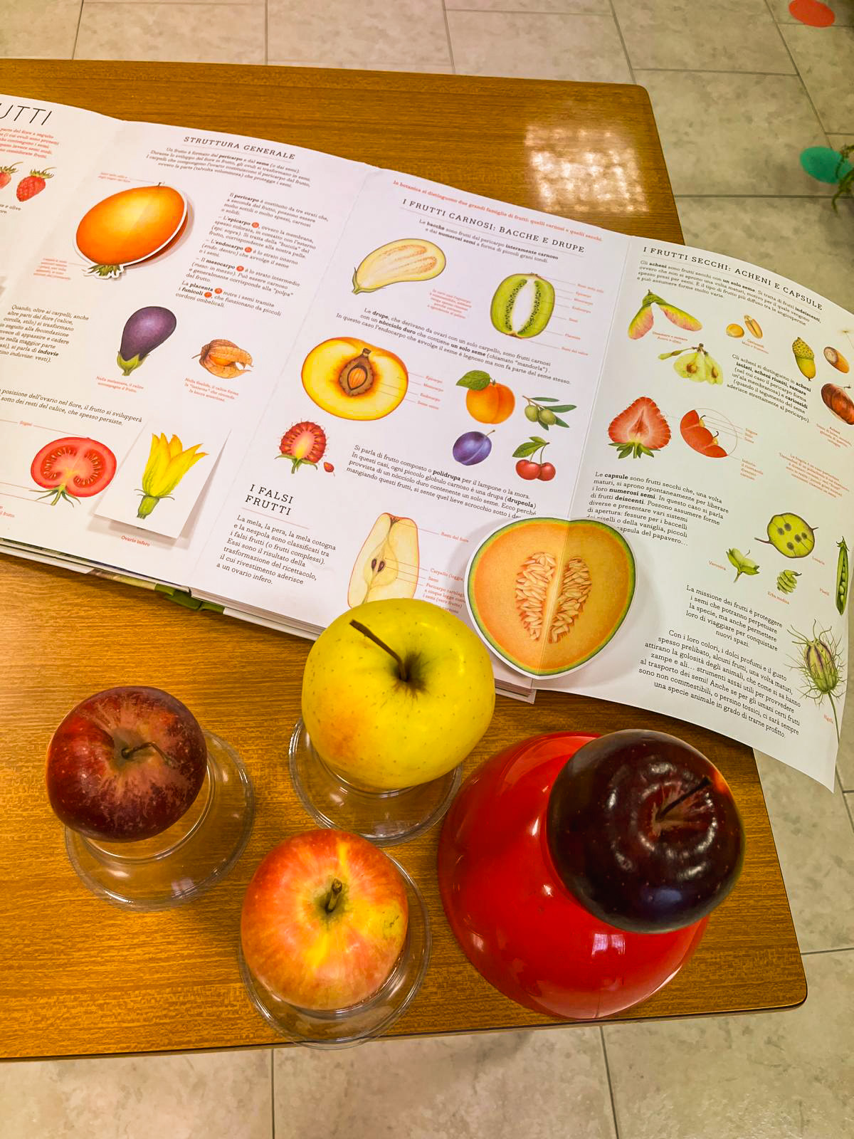 PREPARIAMO LA MACEDONIA INVERNALE E DISEGNIAMO LA FRUTTA🍎🍊
