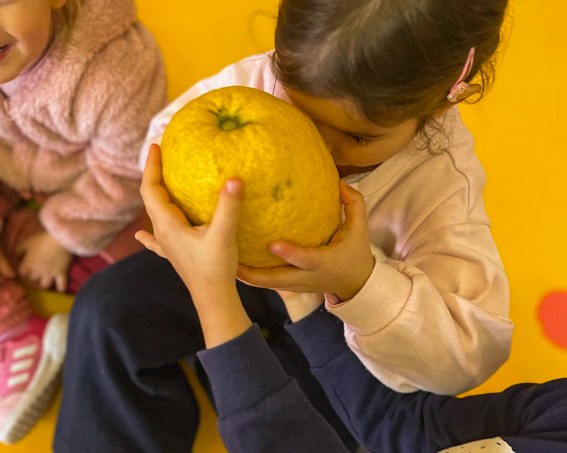 LABORATORIO DI DEGUSTAZIONE: CEDRO E POMPELMO