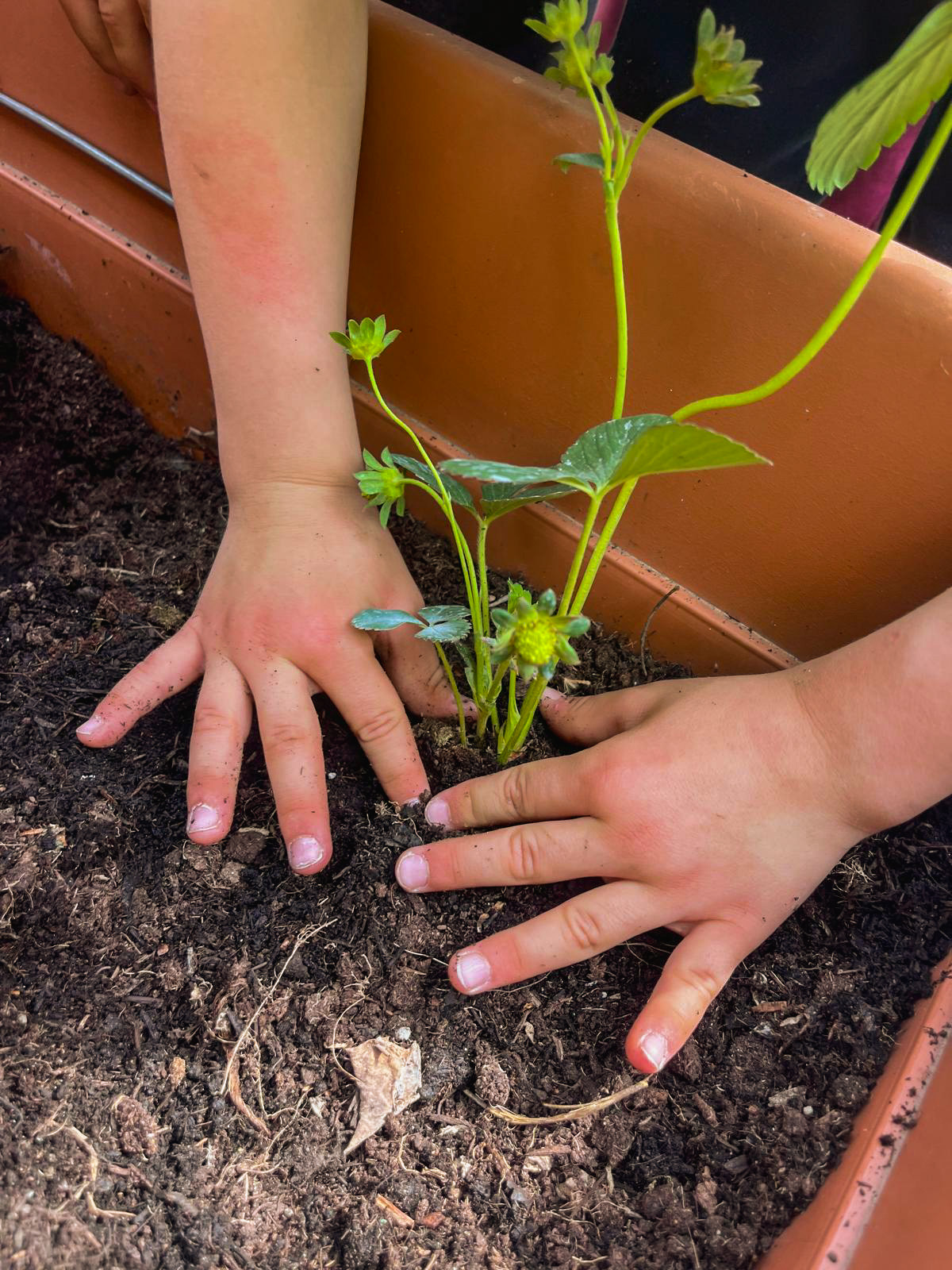 PICCOLI GIARDINIERI